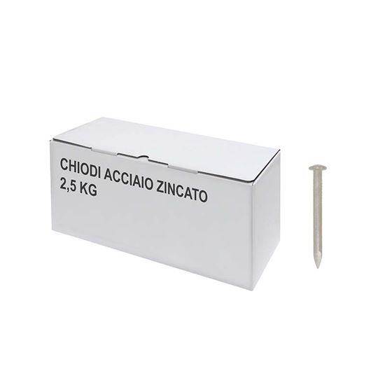 Immagine di CHIODI ACCIAIO ZINCATO, 2,5 KG, 3,7X50 MM