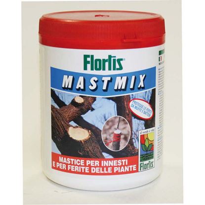 Immagine di MASTMIX, 0,500 KG