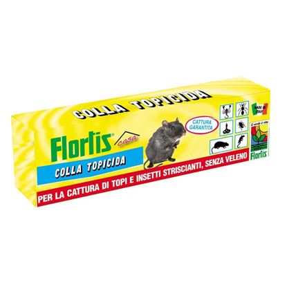Immagine di COLLA PER TOPI, 135 GR