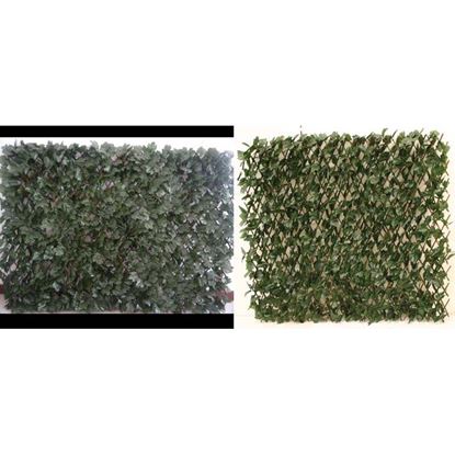 Immagine di SIEPE DI EDERA CON TRALICCIO ESTENSIBILE, MT 2X1, COLORE VERDE