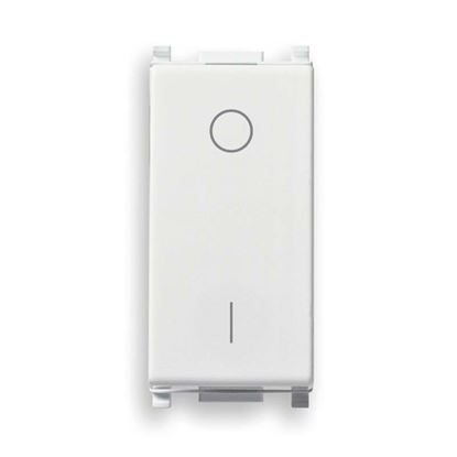 Immagine di INTERRUTTORE 2P, 16 AX, PLANA, COLORE BIANCO